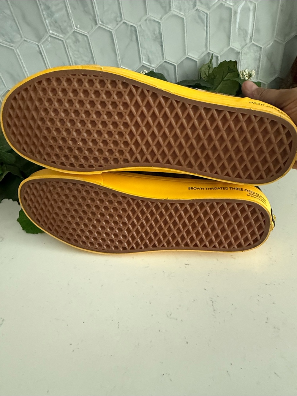 National Geographic Mens Photo Ark Black & Yellow Shoes Snake & Frog Design - Picture 14 of 16